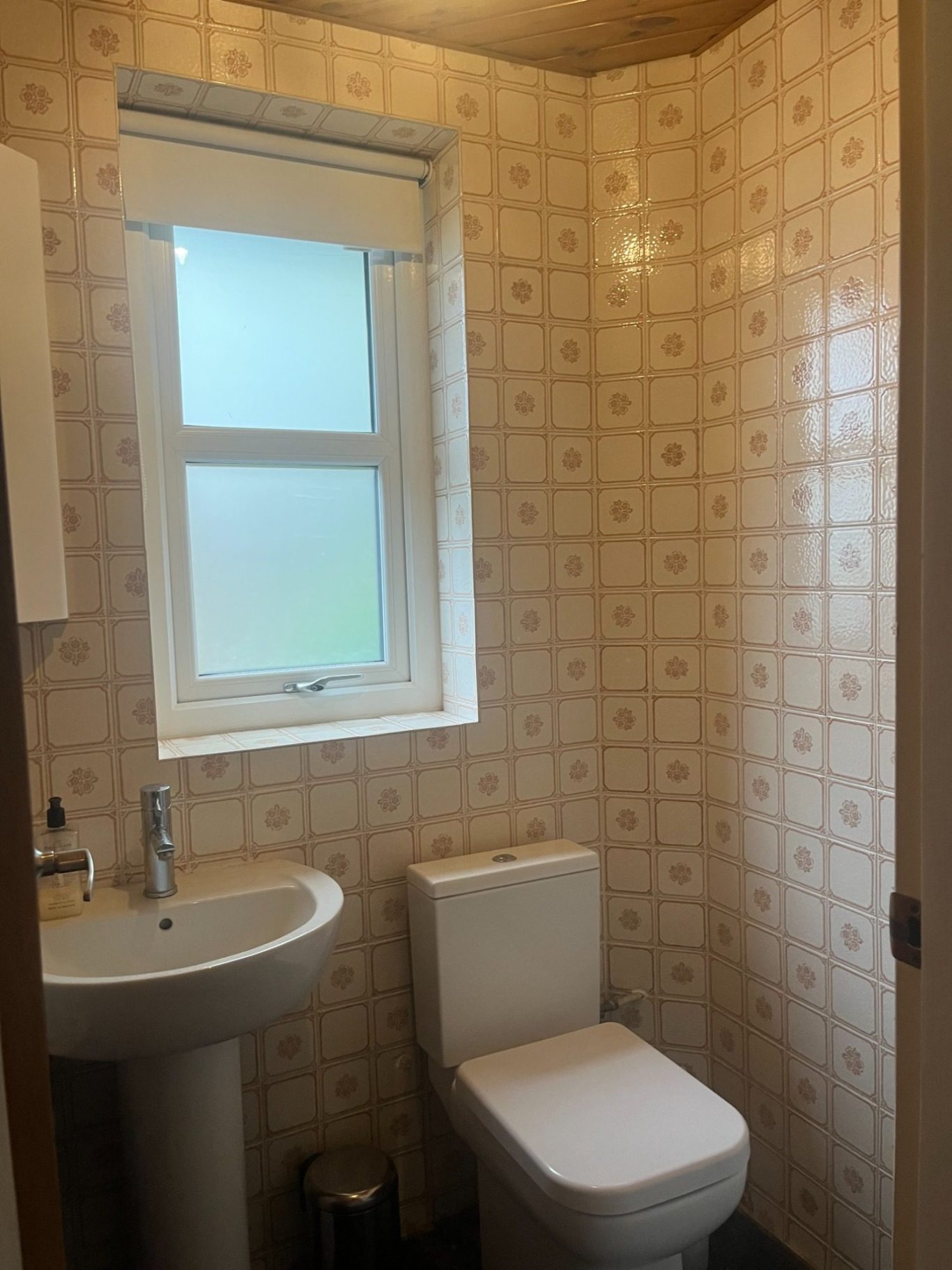 Toilet before renovation